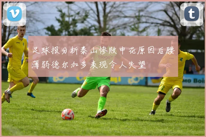 足球报分析泰山惨败申花原因后腰薄弱德尔加多表现令人失望
