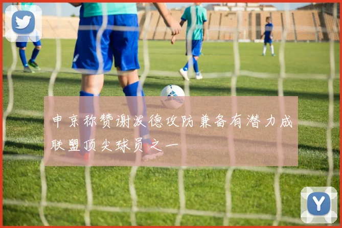 申京称赞谢泼德攻防兼备有潜力成联盟顶尖球员之一