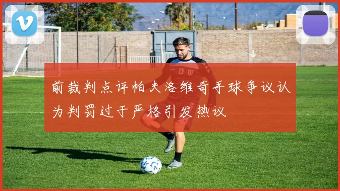 前裁判点评帕夫洛维奇手球争议认为判罚过于严格引发热议